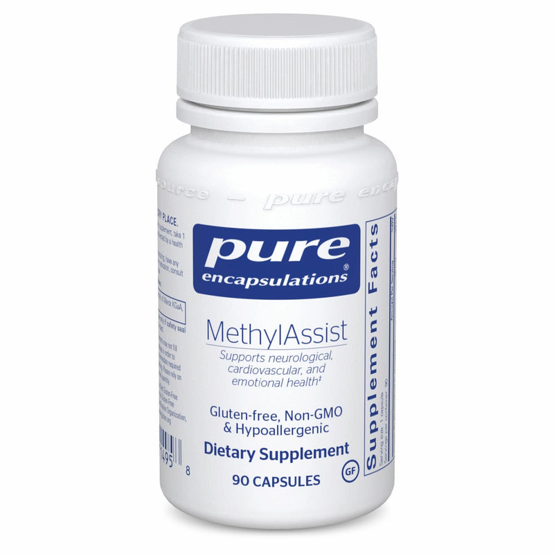 Methylassist